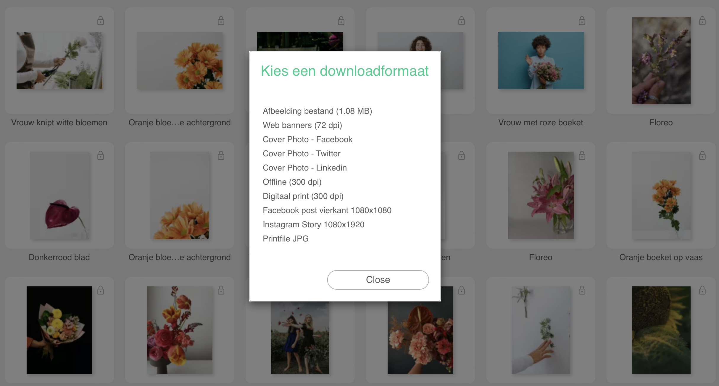 Kies bestandsformaat bij het downloaden van je item uit de DAM