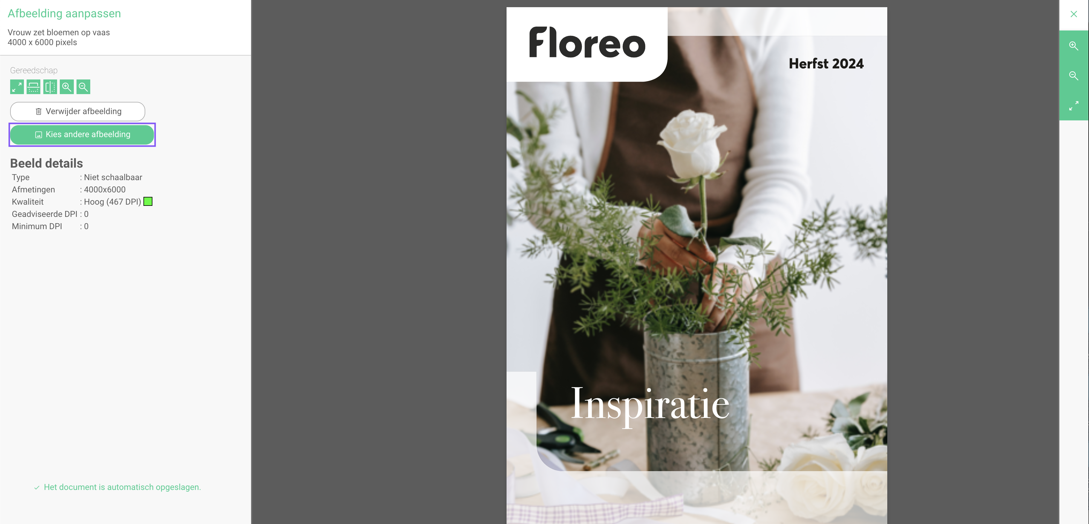 Andere afbeelding kiezen in template